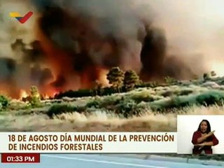 Día Mundial de la Prevención de Incendios Forestales, un llamado al cuidado del planeta