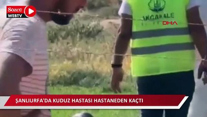Şanlıurfa'da kuduz hastası hastaneden kaçtı, vatandaşlar paniğe kapıldı