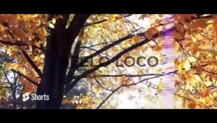 BeeLo Loco - Voices In My Head [Official Music Video]