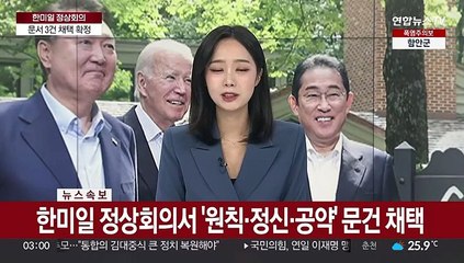 [속보] 한미일 정상회의서 '원칙·정신·공약' 문건 채택