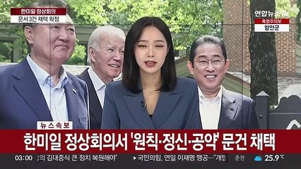 [뉴스특보] 한미일 정상, 공동 기자회견…한일정상 별도 만남