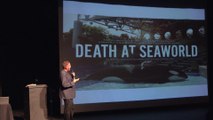 Superpod 8 - Writer Producer Simon Allen discusses Death at SeaWorld and honours David Kirby