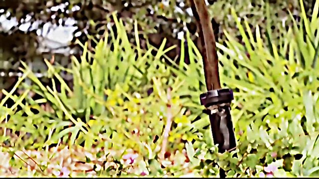 Korean Mix Hindi Songs 2023 Korean Drama Korean horror Story Chinese horror Story Songs Kdrama Mv