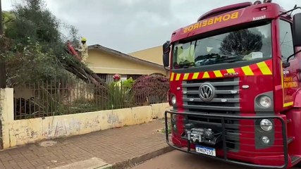 Com a força do vento, árvore cai sobre residência no Interlagos