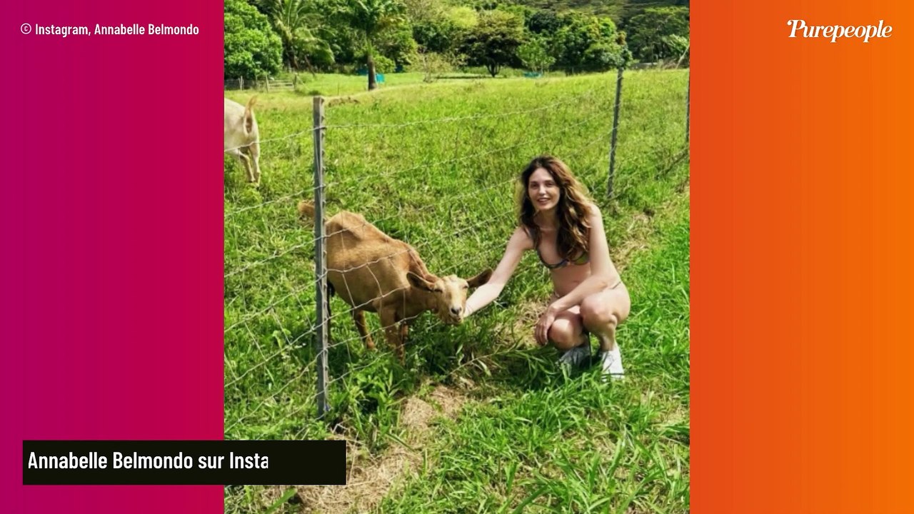 Jean-Paul Belmondo : sa petite fille Annabelle enceinte, photos en bikini à Hawaï, son ventre bien arrondi