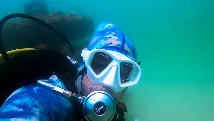 Scuba Diver sauve un requin pendant la Shark Week 2023