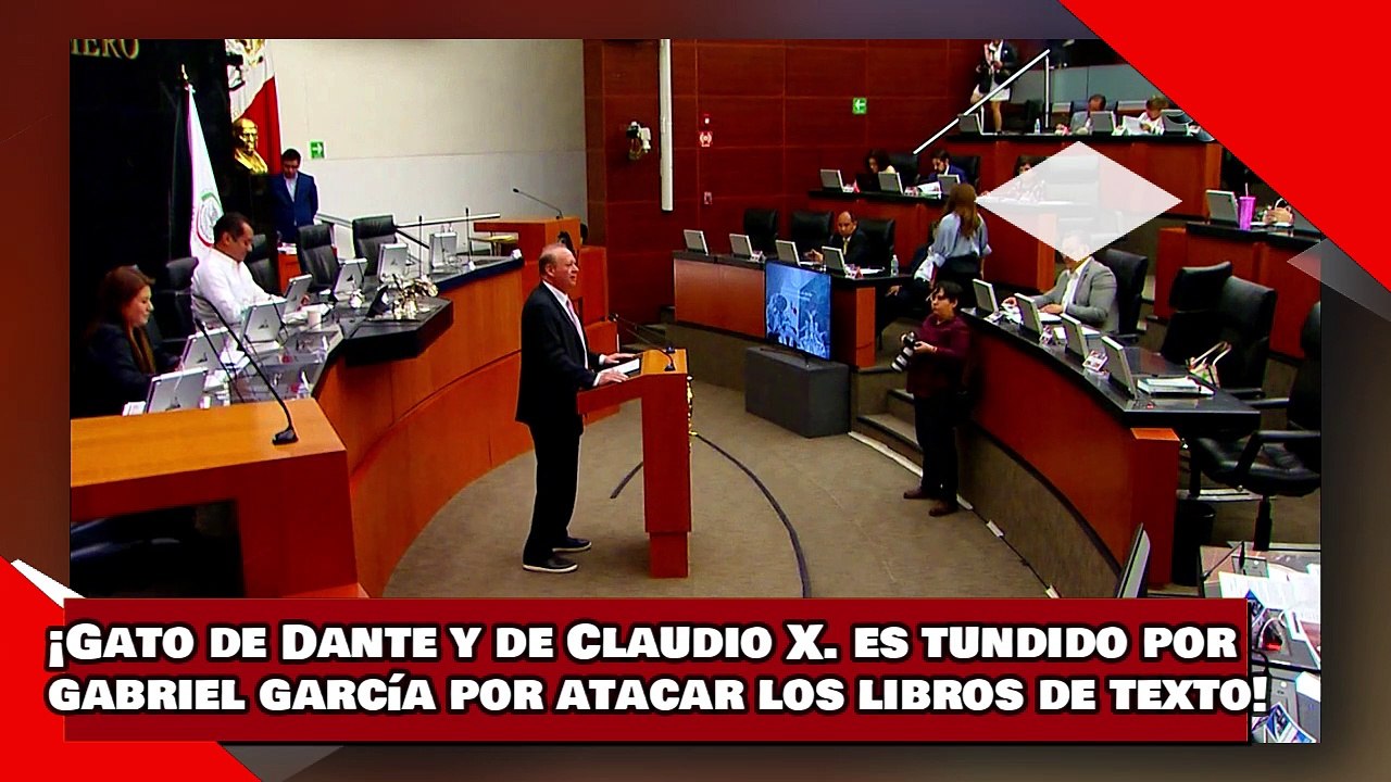 ¡VEAN! ¡gato de Dante y el Sr. X. es tundido por Gabriel García por atacar con los libros de texto!