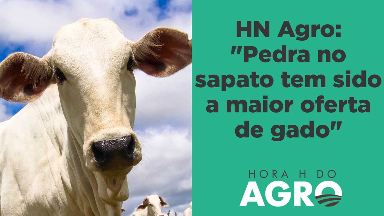 Pecuária tem pior ano da história, mas picanha...