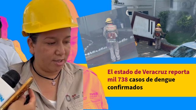 El estado de Veracruz reporta mil 738 casos de dengue confirmados