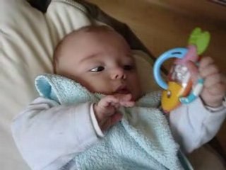 chipon fait ses dents