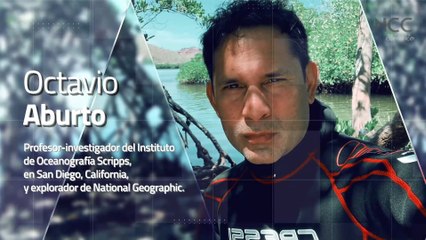 Reporte Climático 107 | La conservación en altamar es posible