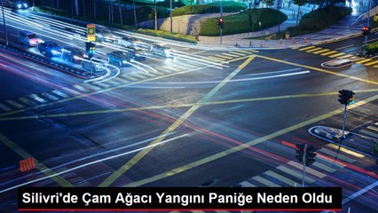 Silivri'de Çam Ağacı Yangını Paniğe Neden Oldu