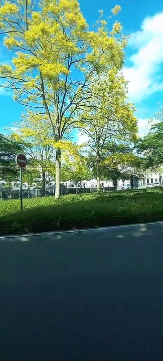 Chartes Bus 1 Direction Barjouville - Pluviers  #france #bustour #bus #frenchcity #francetour  (53)