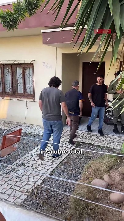 Animais são resgatados em canil clandestino