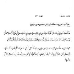 Sahih Bukhari Hadith (Hadees Sahih Bukhari 349) #bayan #hadees #hadith #islamic