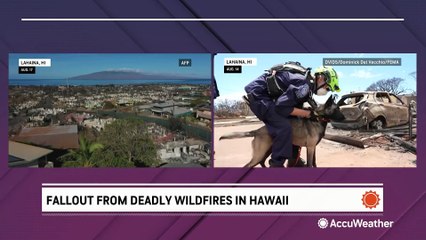 Head of Hawaii's emergency management agency resigns amid wildfire response criticism