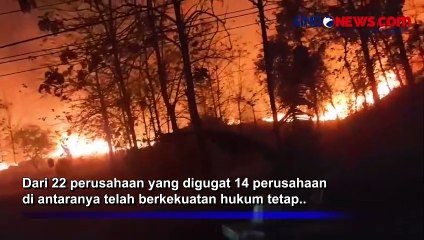 Sebabkan Kebakaran Hutan, KLHK Gugat 22 Korporasi