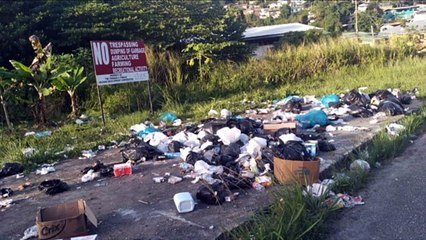 GREENING THE EMANCIPATION VILLAGE