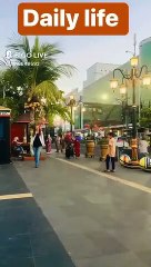 Beautiful Moments in a Relaxing Day 🌸