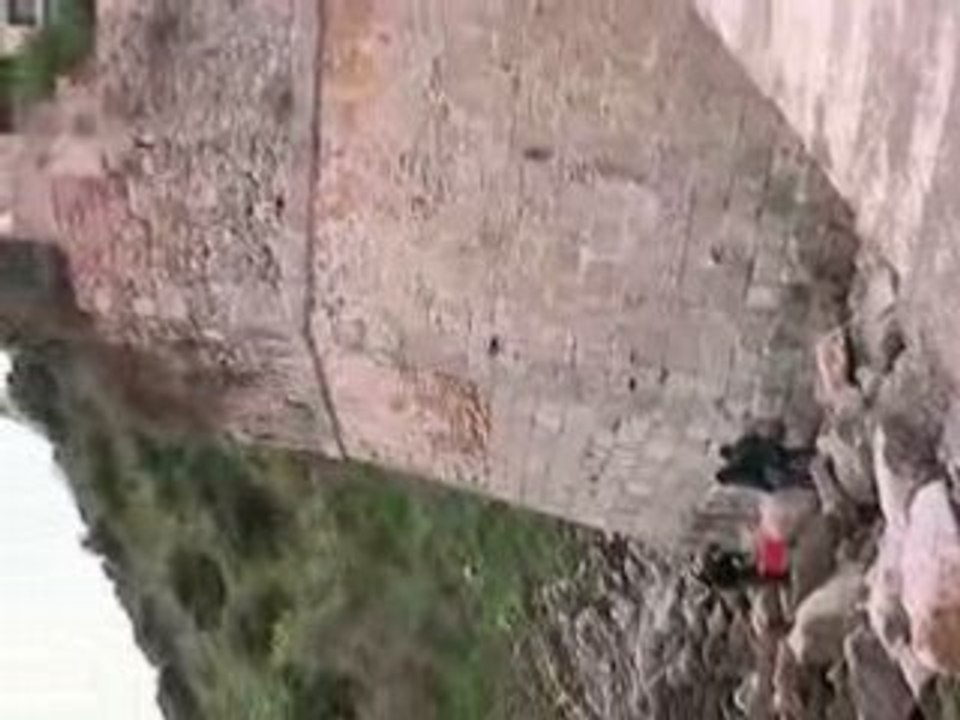 Mauzi and Mad Max ...Totally Stoned