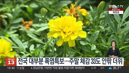 [날씨] 주말 푹푹찌는 찜통더위…곳곳 강한 소나기