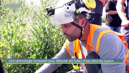 JT DES TERRITOIRES - 19/08/23 - JARDINS - CINEMA - EXPOSITION