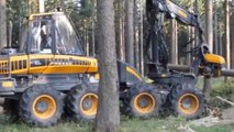 Amazing Dangerous Logging Wood Truck Operator Skills - Fastest Big Tree Felling Skill With Chainsaw--#15