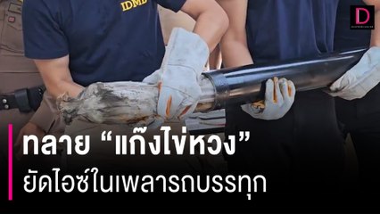 "บิ๊กป๋อ" นำทีมสืบนครบาล ทลาย "แก๊งไข่หวง" ยัดไอซ์ในเพลารถบรรทุก | HOTSHOT เดลินิวส์ 19/08/66