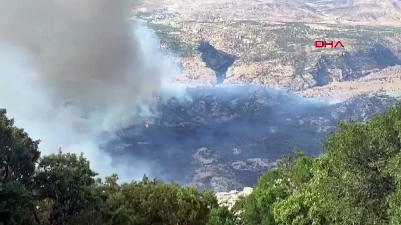 Le feu de forêt à Diyarbakir Hani a été éteint en 24 heures