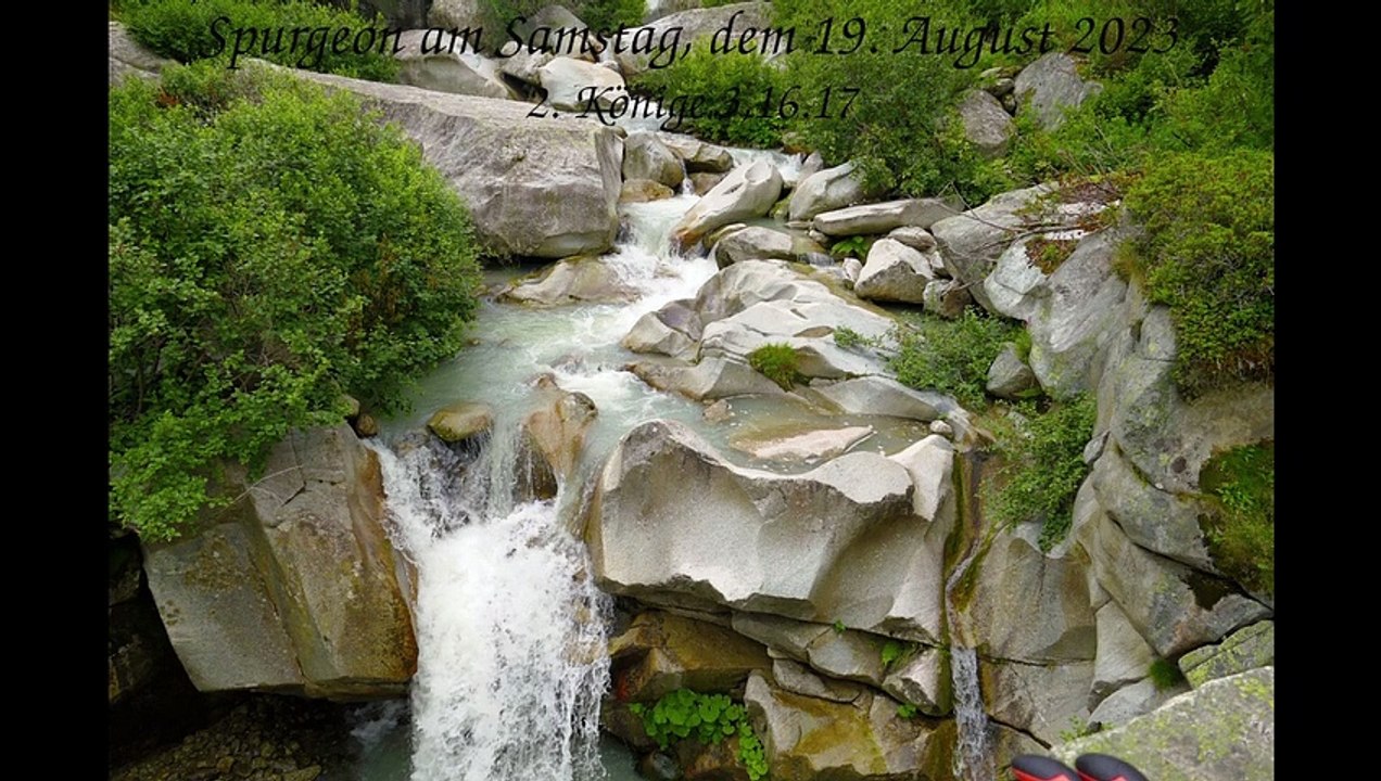 Spurgeon am Samstag, dem 19. August 2023