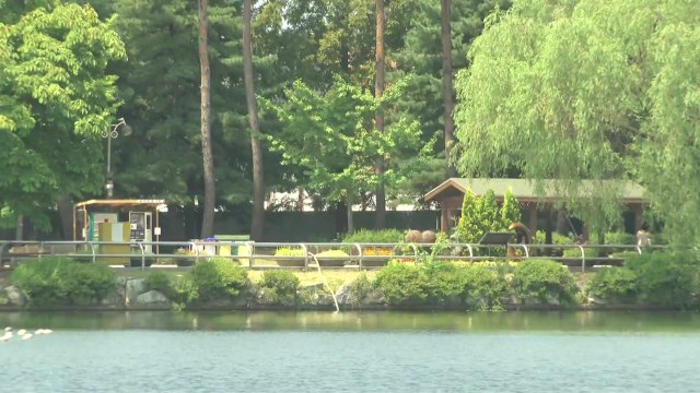 [날씨] 찜통더위 속 전국 소나기...모레까지 무더위 계속 / YTN