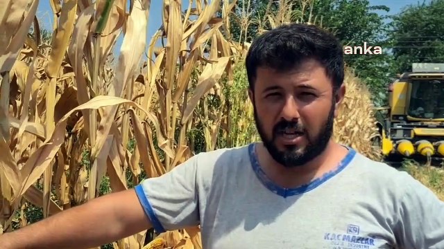 Osmaniye'de Çiftçiler Mısır Taban Fiyatının Açıklanmamasına Tepki Gösterdi