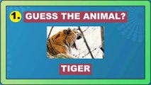 Guess the Animal by Emojis Video #3