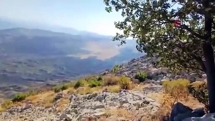 Incendie de forêt dans le district de Hani à Diyarbakir： 12 hectares de terrain ont été endommagés