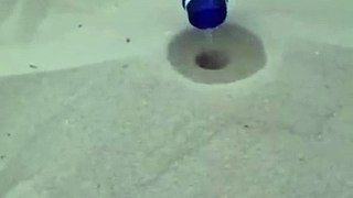 Crazy Experiment With Soil And Water