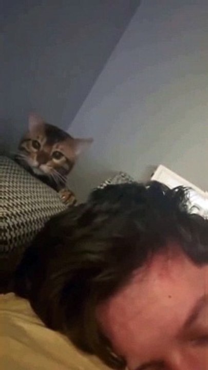 #funny