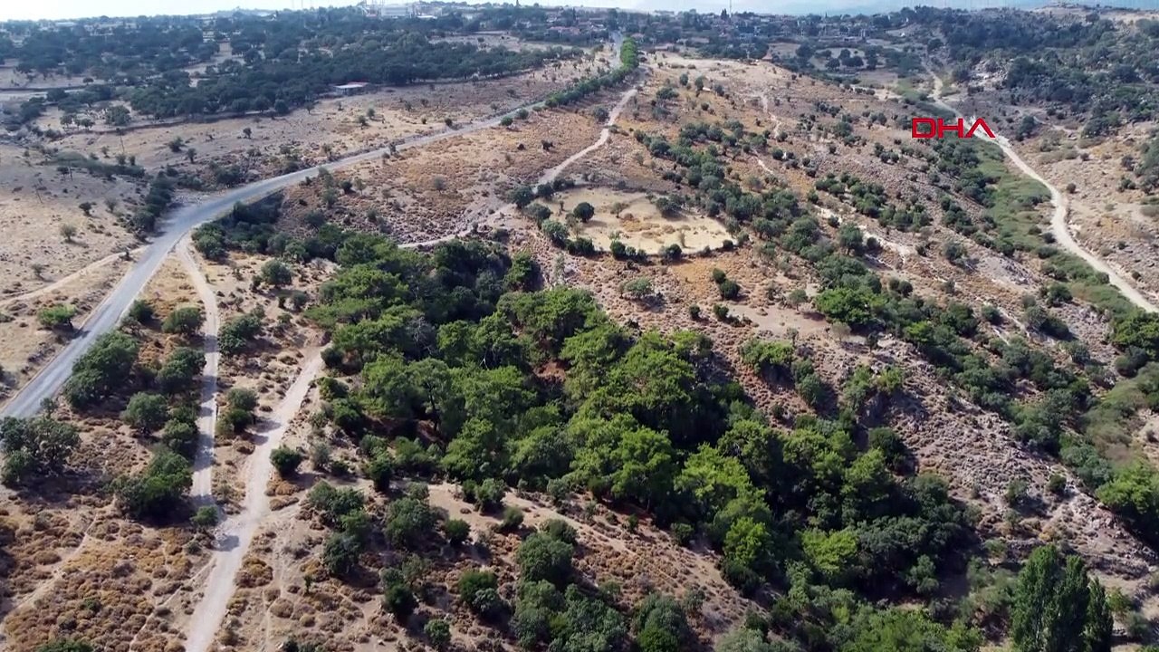 Ruines de la route antique découvertes à Ayvacık