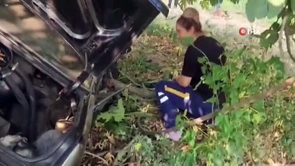 La voiture a percuté la palissade à Izmir： 2 personnes ont perdu la vie, 2 chèvres ont survécu