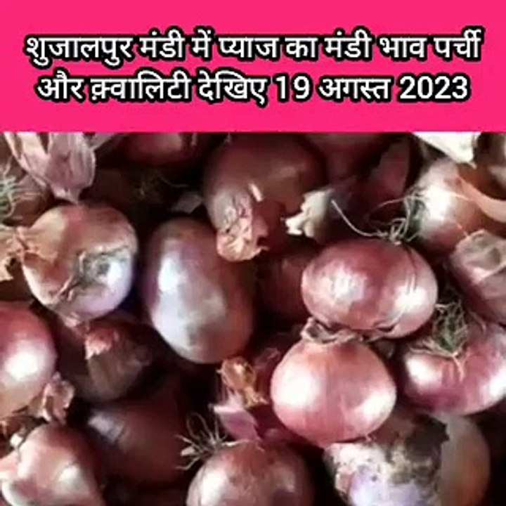 शुजालपुर मंडी में आज का प्याज का भाव