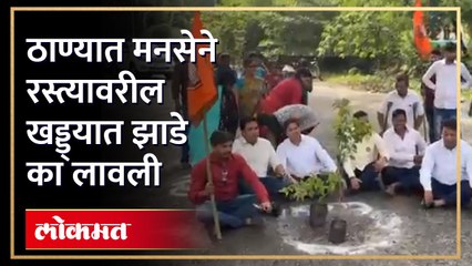 ठाण्यात मनसे आक्रमक...रस्त्यावर लावली झाडे...काय म्हणाले मनसैनिक पाहा