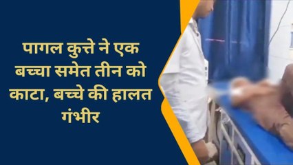 चंदौली: पागल कुत्ते का कहर, तीन को काटा, बच्चे को नोंचा