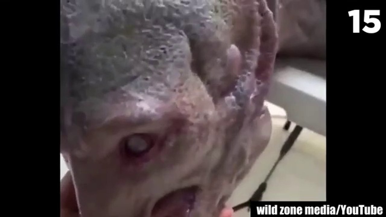 15 Scary Videos Leaving More Questions than Answers
