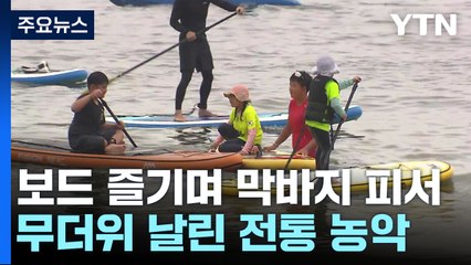 보드 즐기며 막바지 피서...무더위 날린 전통 농악 / YTN