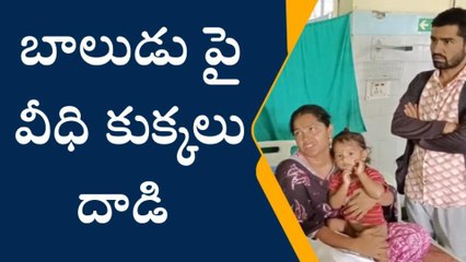 శ్రీసత్యసాయి జిల్లా: బాలుడు పై వీధి కుక్కలు దాడి