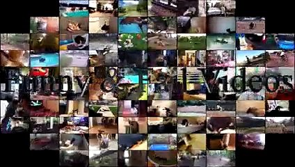 Cats Vs Water Part 4 - Cats Falling In Water - Funny Cats 2017 - Cats Hate Water