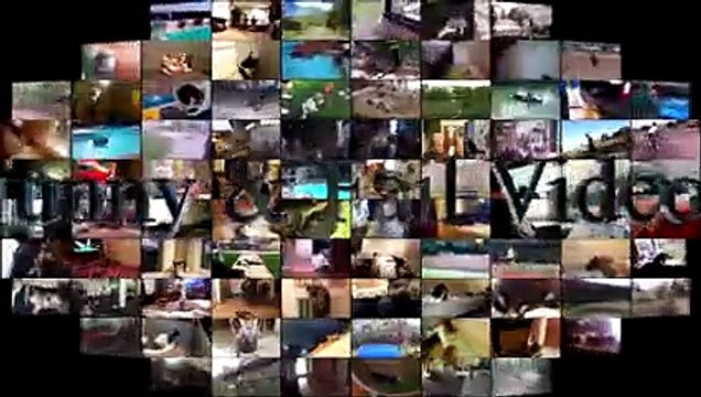 Cats scared of Cucumbers Compilation - Cats Vs Cucumbers - Funny Cats