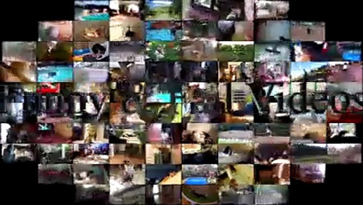 Scared Cats - Funny Scared Cats Compilation Part 4