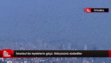 İstanbul'da leyleklerin göçü: Gökyüzünü süslediler