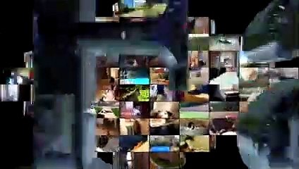 Animal Fails of the Week 4 August 2017 - Animal Fails Compilation 2017