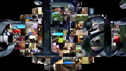 Cute And Funny Animals - A Funny Animal Videos Compilation August 2016